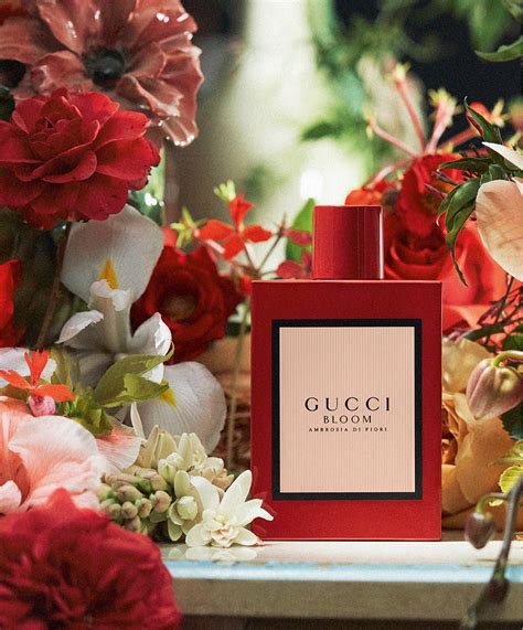 gucci bloom france